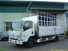 Isuzu NQR