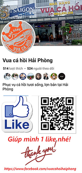 Vua cá hồi Hải Phòng