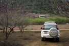 Ford Everest