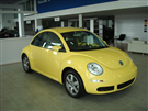 Volkswagen New Beetle