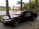 Nissan Bluebird