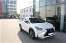 Lexus Khác