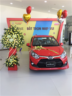 TOYOTA NAM ĐỊNH
