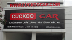 Cuckoo Car